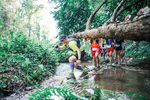 BIB: 
                            <button type="button" onclick="openModal(25459841)" class="btn btn-primary btn-sm float-right btn-popup" data-toggle="modal" data-target=".modal-high-quality">
                        <i class="fas fa-shopping-cart"></i> Add to Cart
                    </button>
                                            <button type="button" onclick="isThisMe(25459841, true)" class="btn btn-success btn-sm float-right btn-popup btn-isme hidden" data-toggle="tooltip" data-placement="bottom" title="นี่คือรูปของคุณใช่ไหม คลิกที่นี่เพื่อเอาเข้าอัลบั้ม">
                        <i class="fas fa-plus"></i> Add to album
                    </button>
                    <button type="button" onclick="isThisMe(25459841, false)" class="btn btn-warning btn-sm float-right btn-popup btn-isnotme hidden">
                        <i class="fas fa-ban"></i> Remove from album
                    </button>